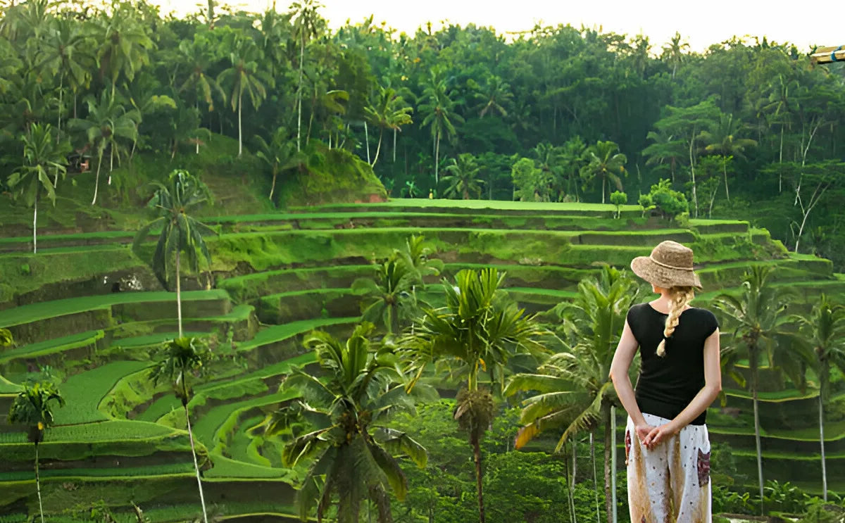 A visitor admires the vibrant green layers of Bali’s famous rice terraces, surrounded by swaying palm trees and lush tropical vegetation, a tranquil scene of agricultural beauty.