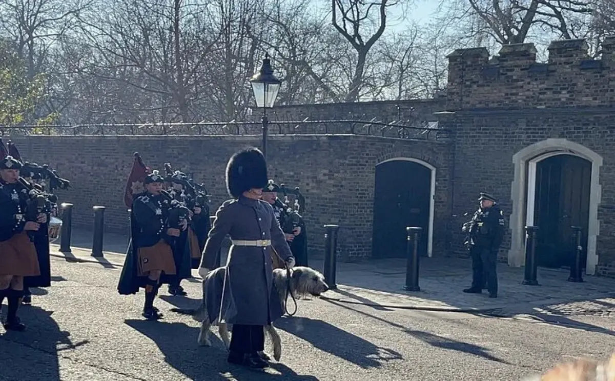 A royal guard with a tall bearskin hat leading a ceremonial procession, accompanied by a traditional dog, with bagpipe players in the background and a brick structure in view.