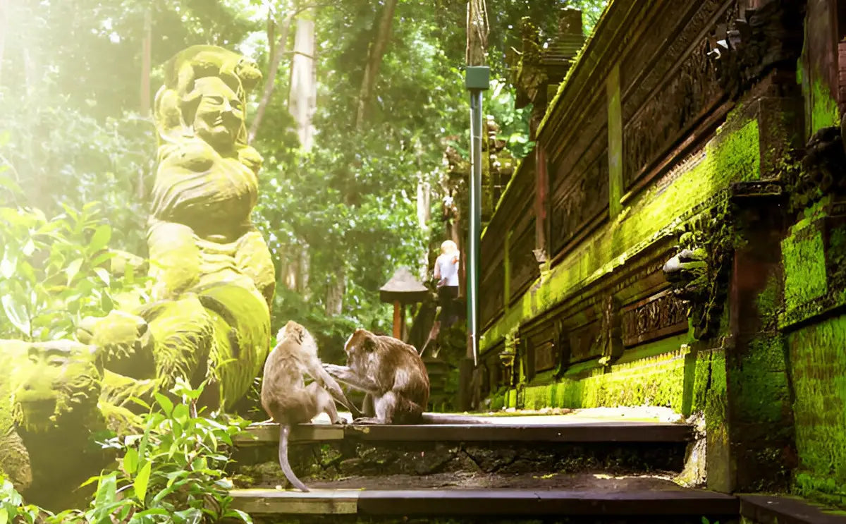 Two monkeys sitting near a moss-covered statue and temple wall in Bali's Monkey Forest Sanctuary, surrounded by lush greenery.