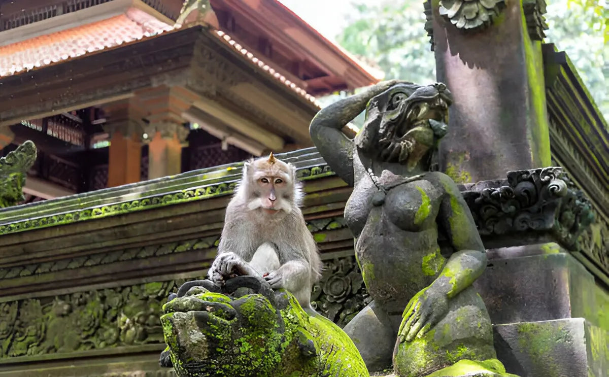 A monkey sitting on a moss-covered statue at the Monkey Forest Sanctuary in Bali, with traditional Balinese architecture in the background.