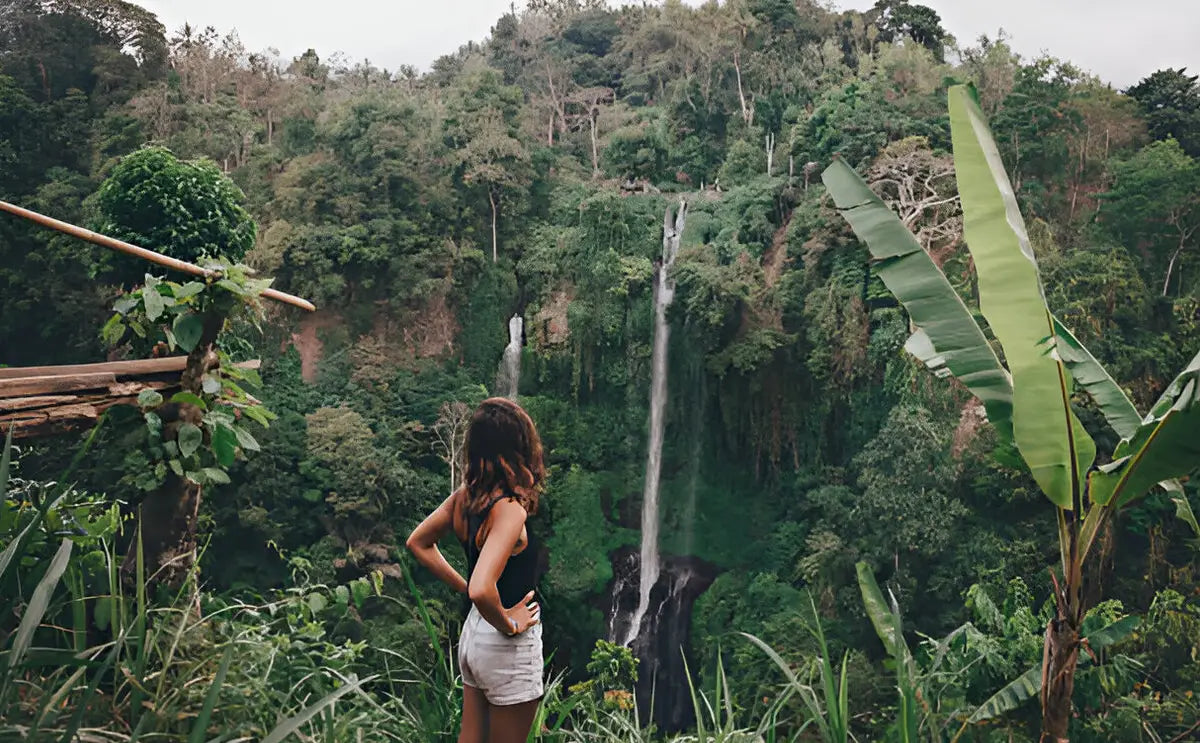 Rice Terraces Sacred Temples and Waterfall Tour from Ubud