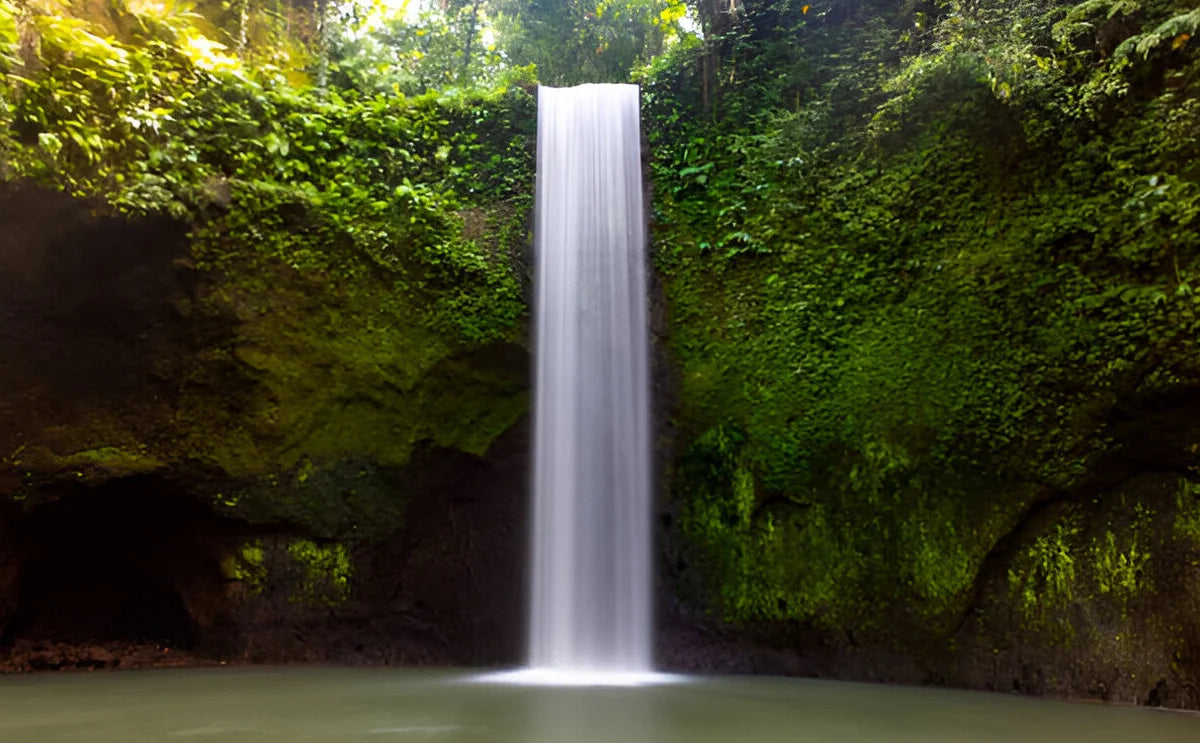 A tall waterfall flows into a calm pool, surrounded by green moss and tropical plants, creating a peaceful spot in Bali.