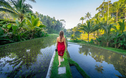Rice Terraces Sacred Temples and Waterfall Tour from Ubud