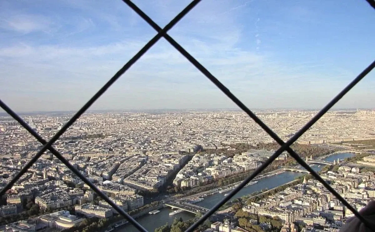 Panoramic view of Paris from the Eiffel Tower, showcasing the Seine River and the city's architecture, framed by safety grid wires.